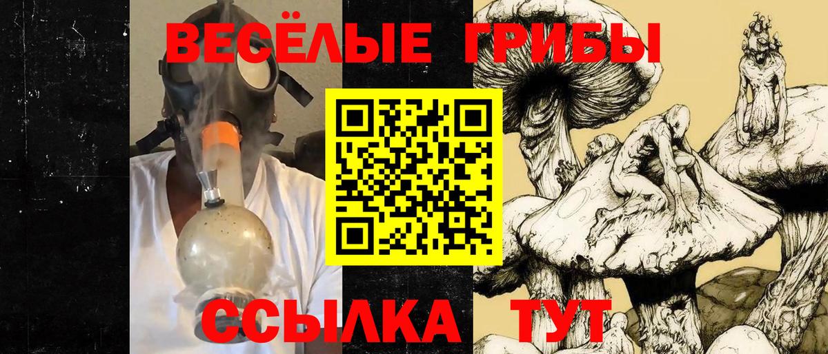 Апатиты  Псилоцибиновые грибы мицелий  где найти наркотики  Вход с VPN 