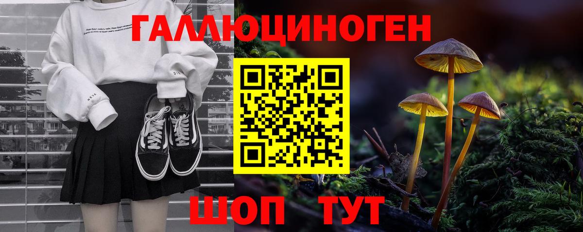 Галлюциногенные грибы Psilocybe Апатиты